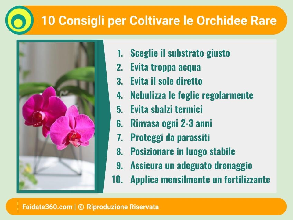 Come curare le Orchidee: attenzione a luce, acqua, temperature e